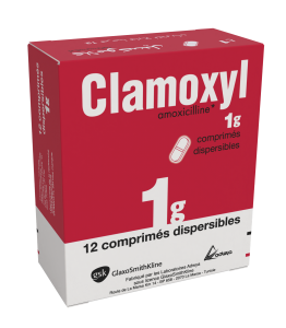 CLAMOXYL 1G COMP. DISPERS.